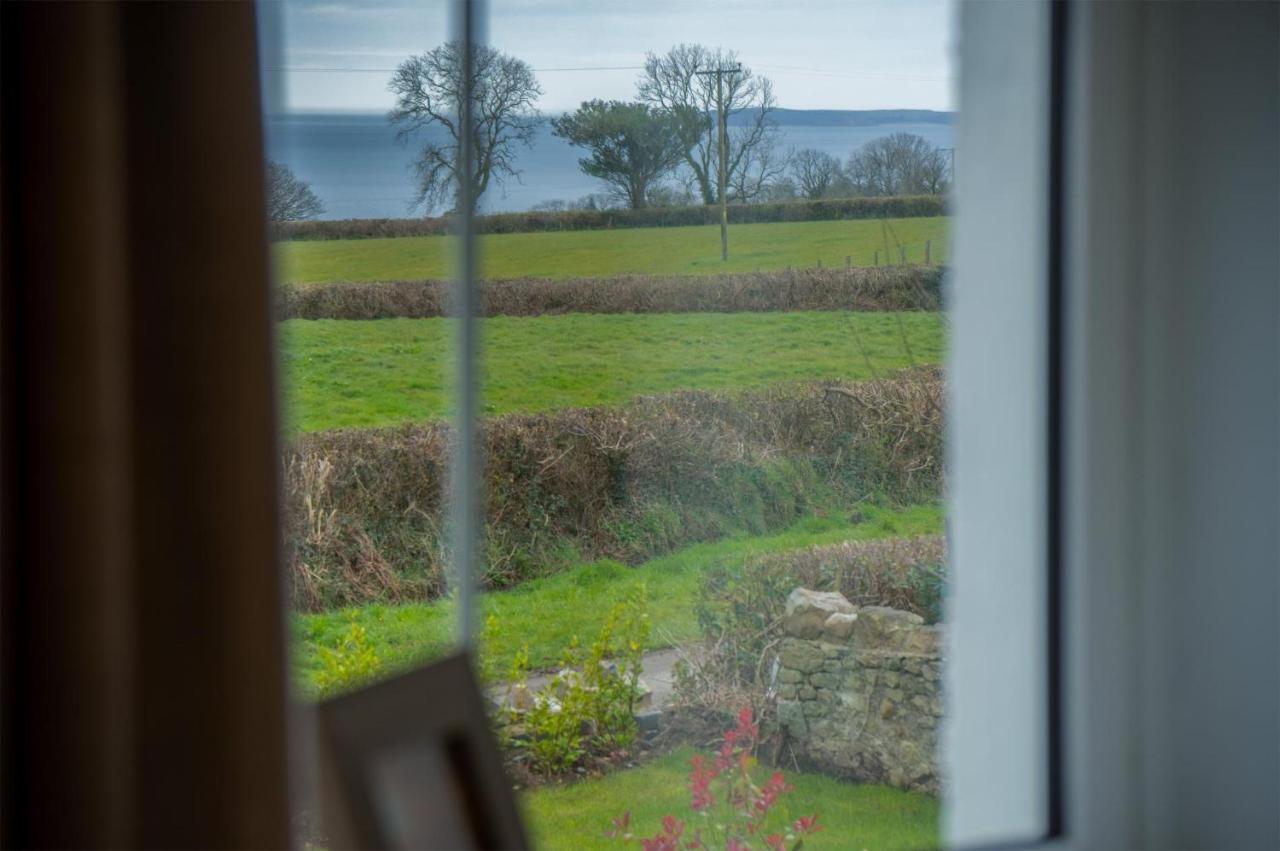 Elidyr Cottage - 3 Bedroom Cottage - Amroth Zewnętrze zdjęcie